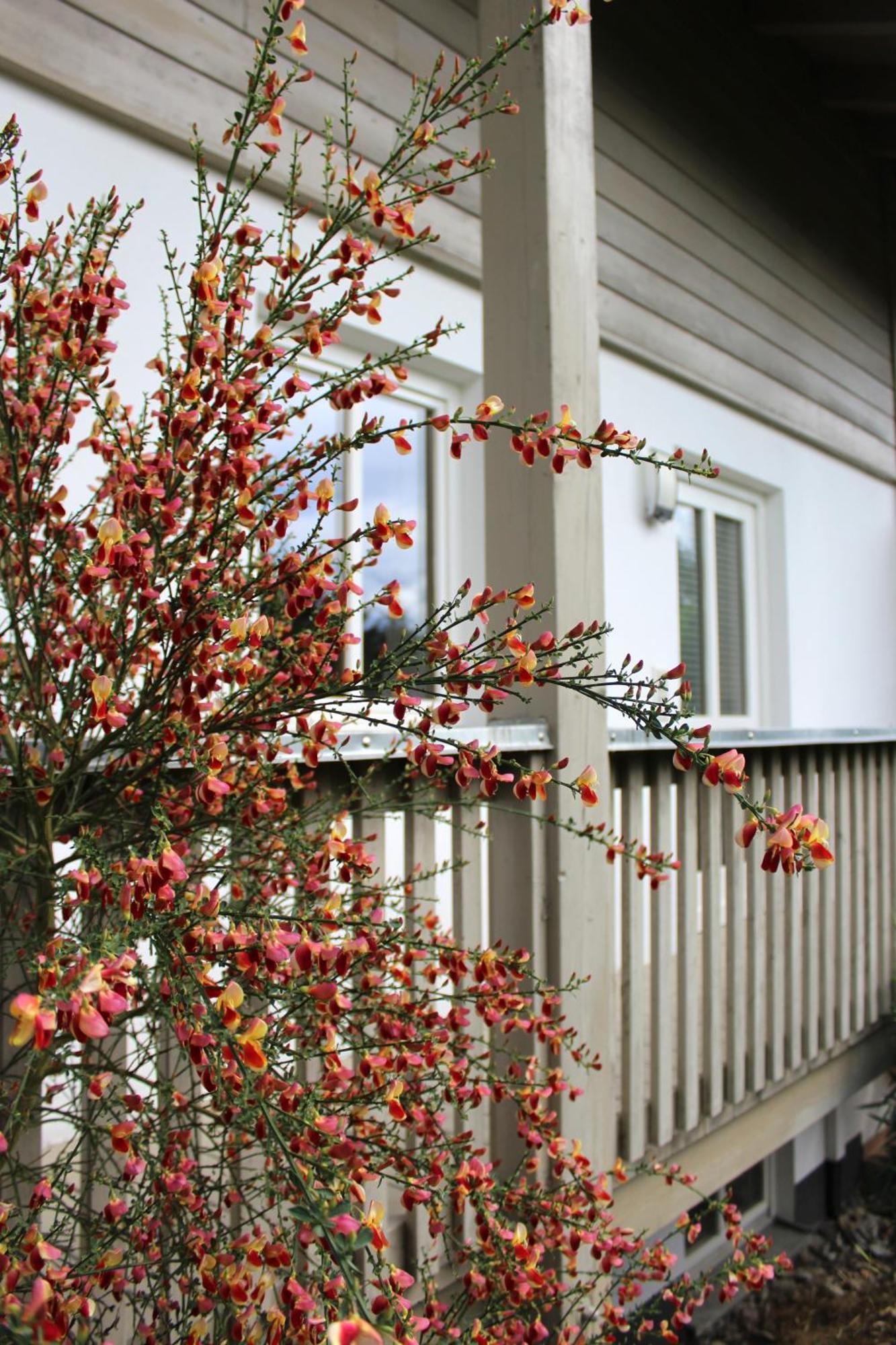 Ferienwohnung Woidblick Drachselsried Exterior foto